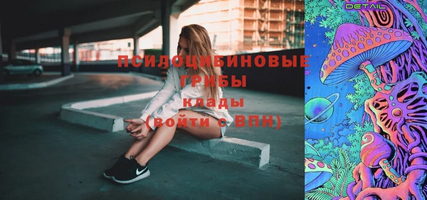 хмурый Абинск