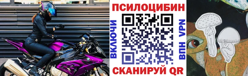 Галлюциногенные грибы Psilocybine cubensis  где купить наркотик  Питкяранта 